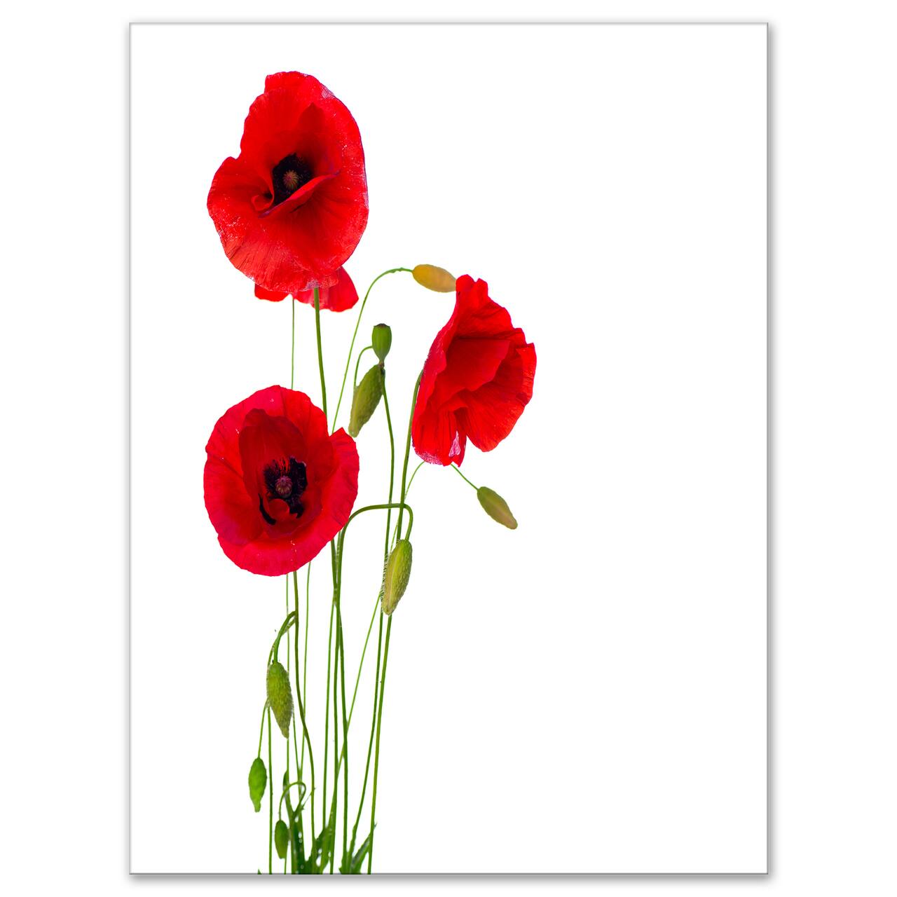 Designart - Isolated Red Poppy Flowers - Floral Canvas Art Print
